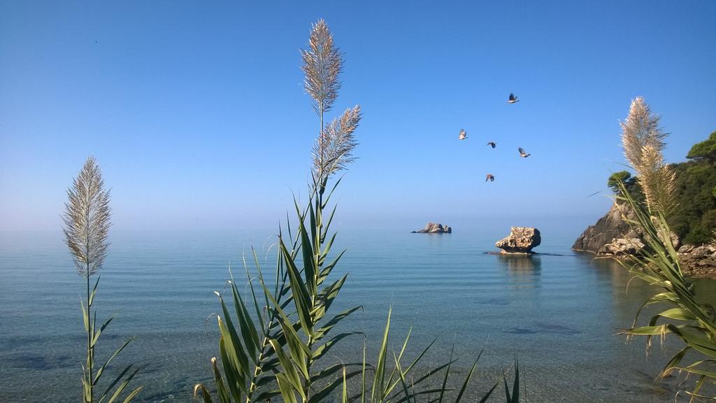 Yaliskari Beach 펠레카스 외부 사진